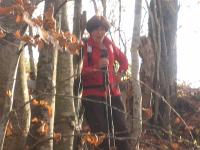 Descente sur le GR