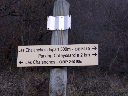 PICT0104