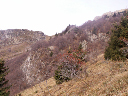 PICT0109