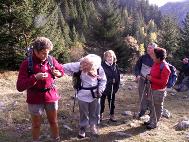 Pause avant la monte  la stle