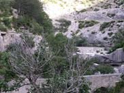 les gorges de la Mouge