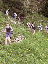 101_Descente du col de la petite Vache