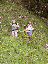 103_Descente du Col de la Petite Vache