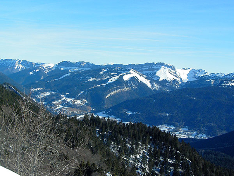 119_ vue environ