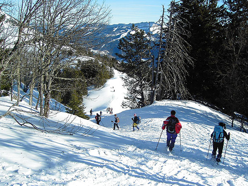 123_descente vers chalet
