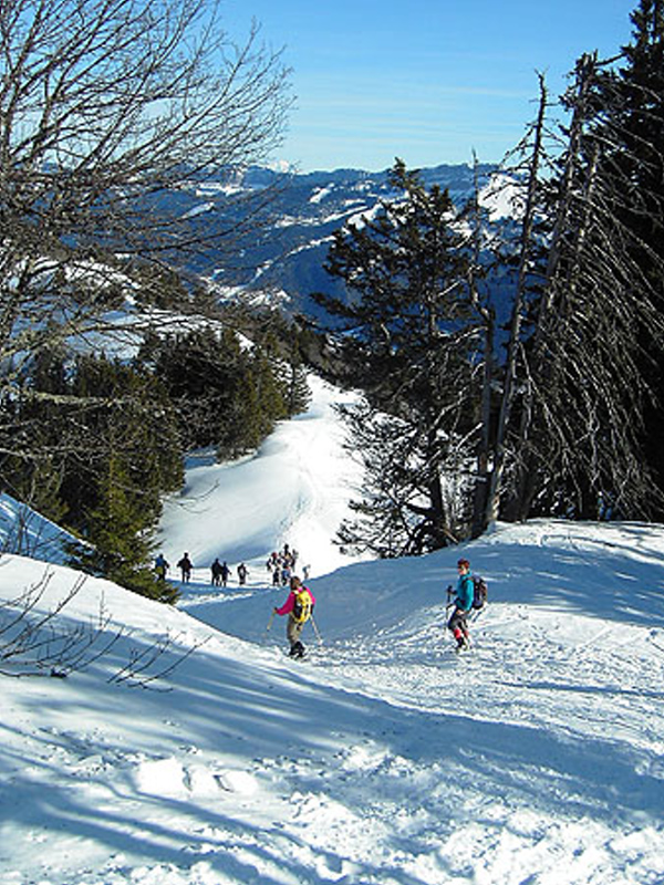 125_ descente vers fromagerie