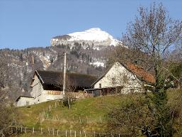 La Pinea
