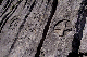 09_06_18 Crêtes du Pinet 011_A