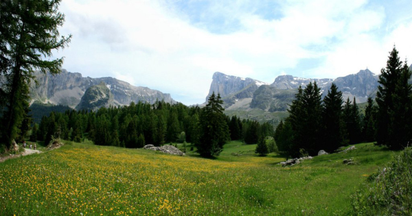 4420-Panoramique