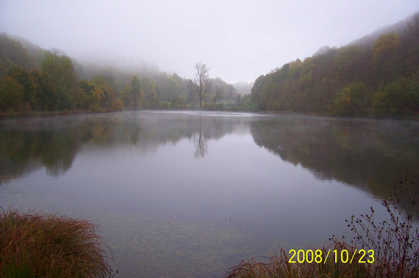 106_brume automnale sur un étang d'Oyeu