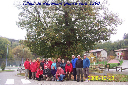 108_le groupe devant un arbre remarquable de France  le tilleul de Réaumont planté vers 1390  !