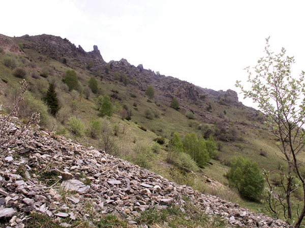 PICT0037