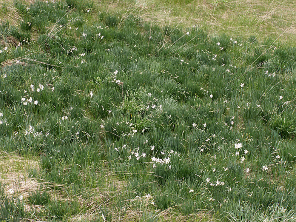 PICT0038