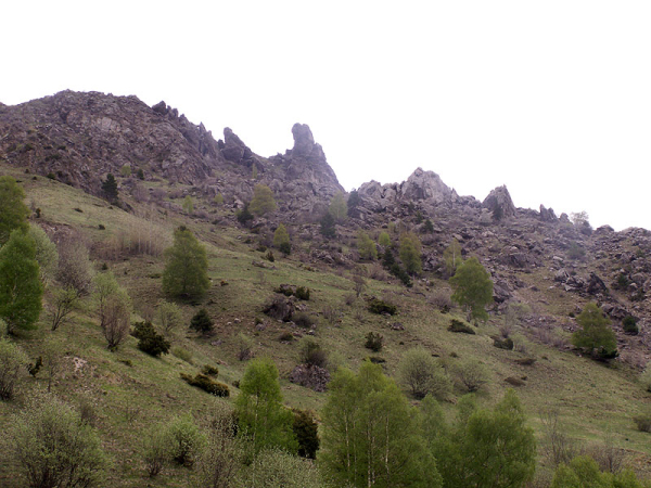 PICT0039