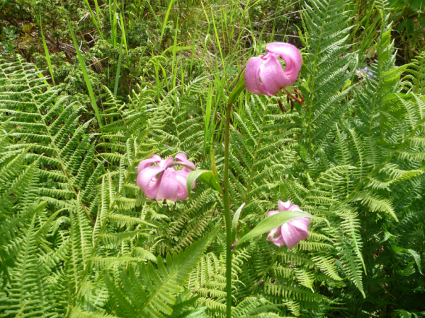 P1010543
