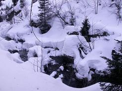 Paysage sous la neige