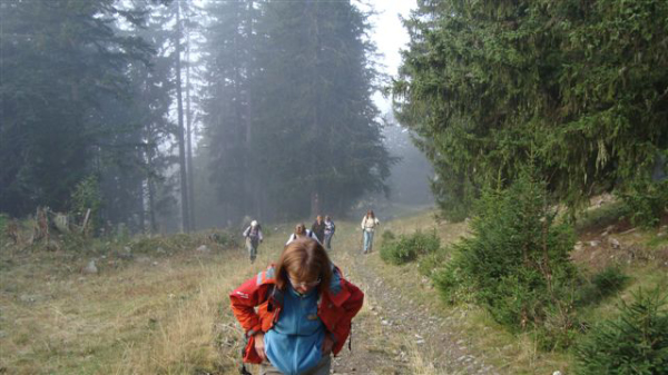 DSC00501