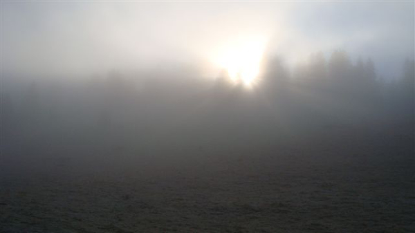 DSC00508