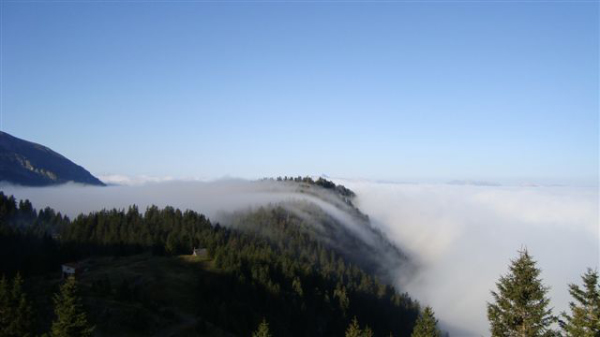 DSC00512