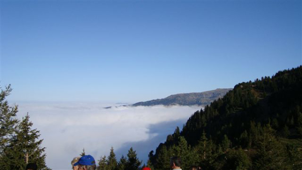 DSC00514