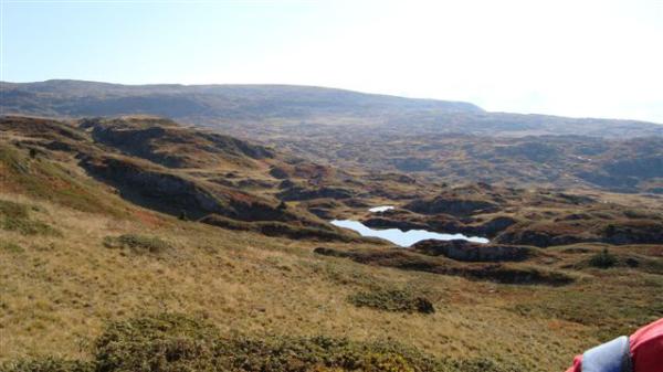 DSC00517