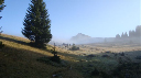 DSC00505