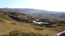 DSC00517