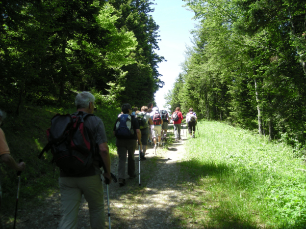 Rando GV-Alpe du Grand Serre 018