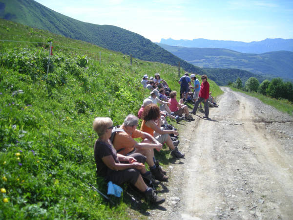 Rando GV-Alpe du Grand Serre 031