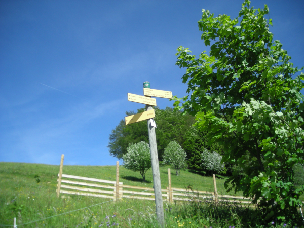 Rando GV-Alpe du Grand Serre 032