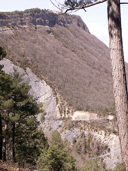185_vue sur le domaine du clos (chateau Gaymard)