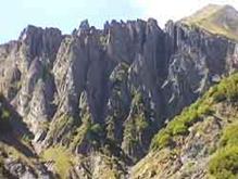 Les orgues verticales