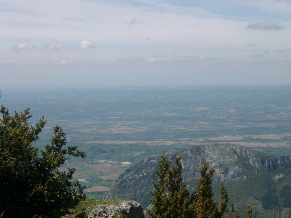 IMGP2090