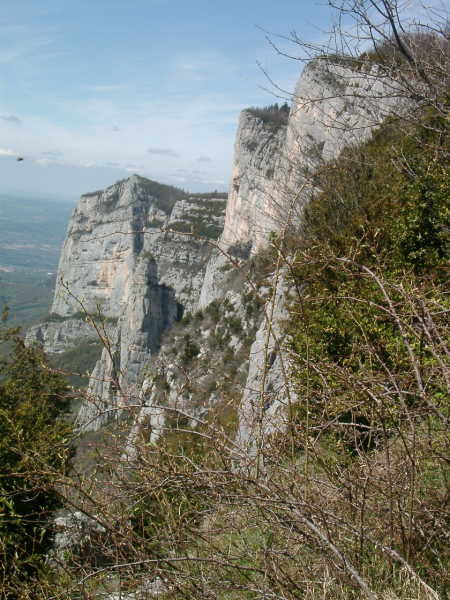 IMGP2104