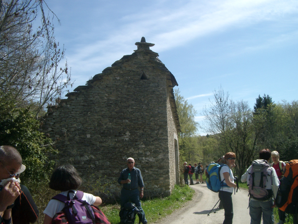 IMGP2119