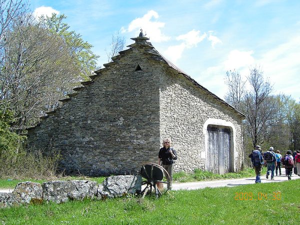 KIF_3466