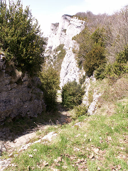 PICT0102