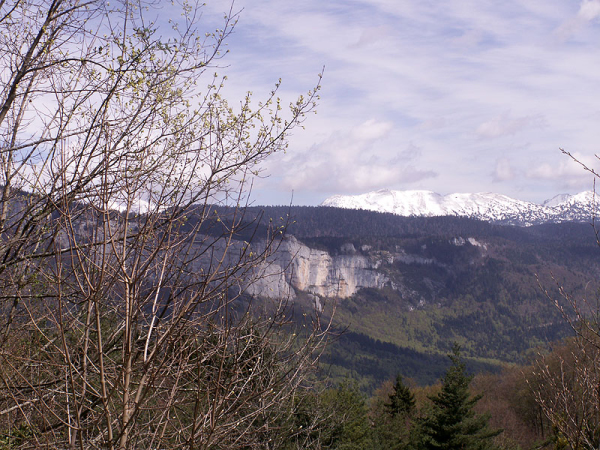 PICT0110