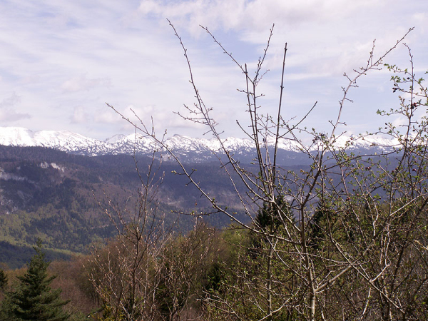 PICT0111