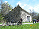 KIF_3466