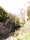 PICT0097