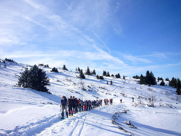 114a_dans la combe de St Nizier