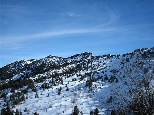 115_combe de St Nizier