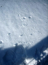 111_hibou dessiné dans la neige par Chantal