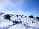 114a_dans la combe de St Nizier