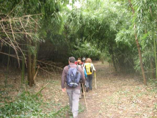 110_vers le chemin de halage