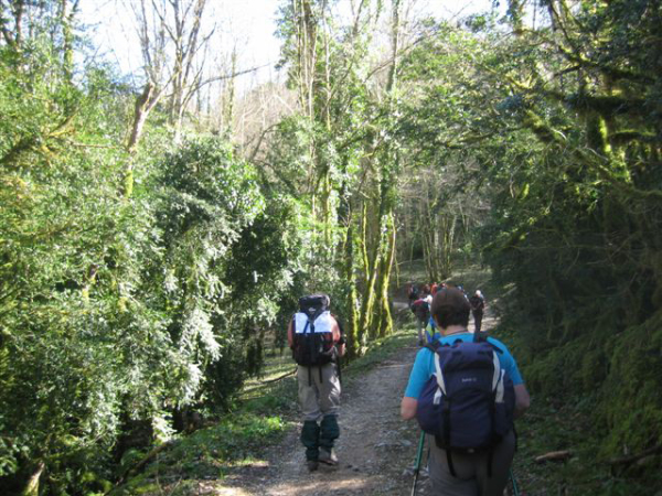 144_au sommet des gorges