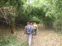 110_vers le chemin de halage